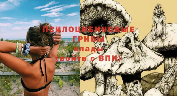 мдпв Новодвинск