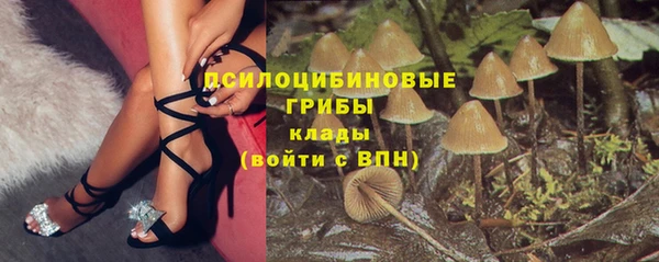 сатива Нефтегорск