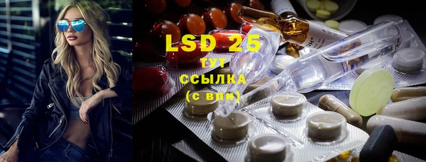 стафф Щигры